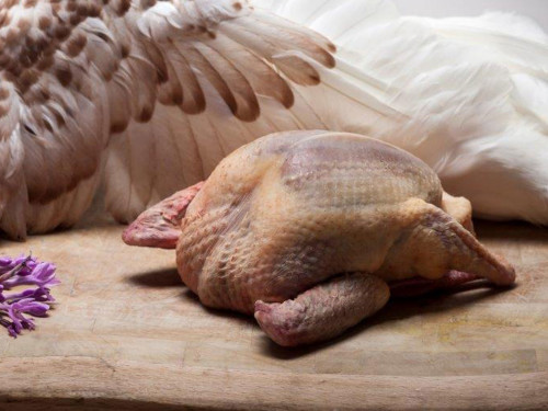 Diapo mise en avant produits, pigeonneau Royal.