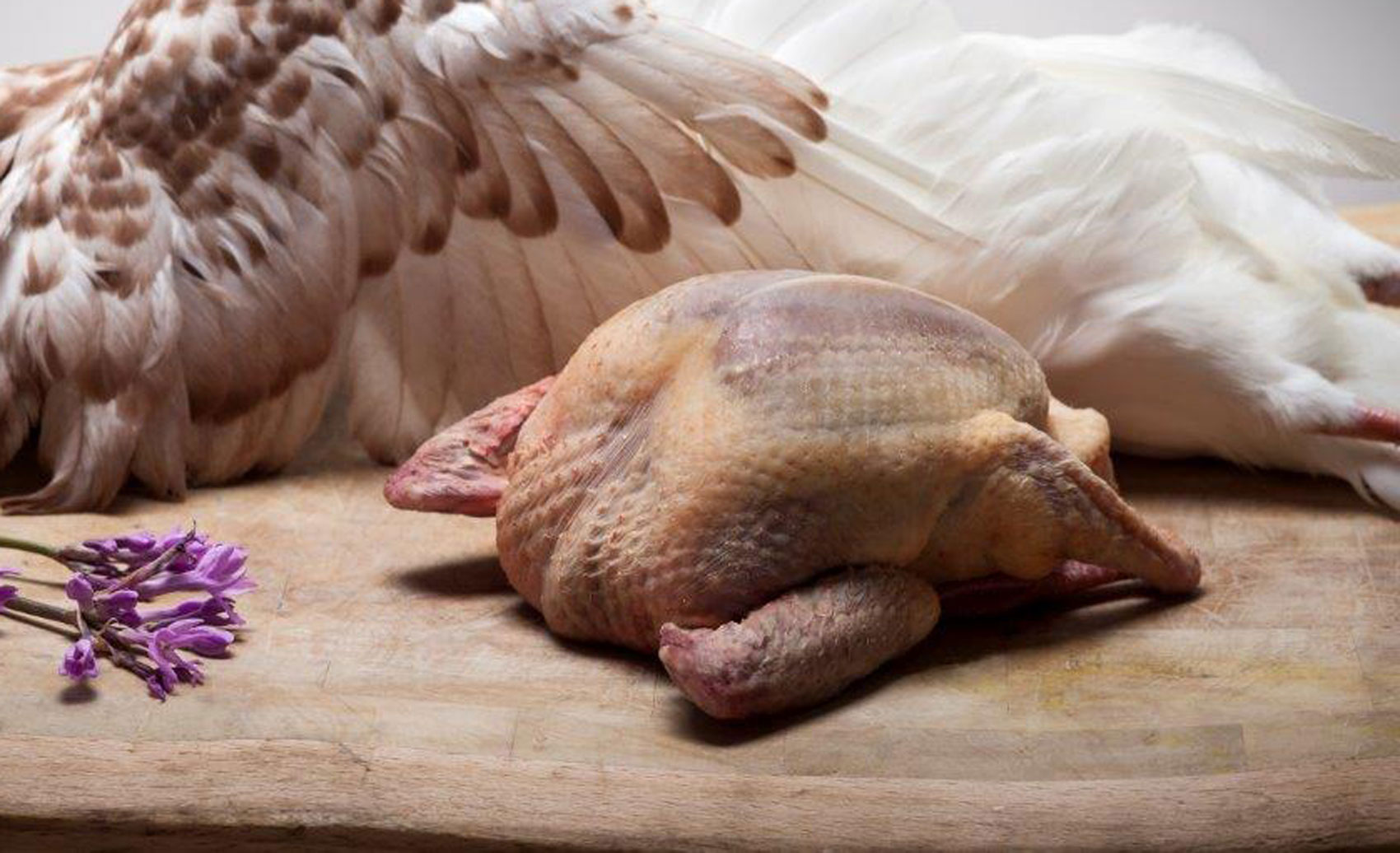 Diapo mise en avant produits, pigeonneau Royal.